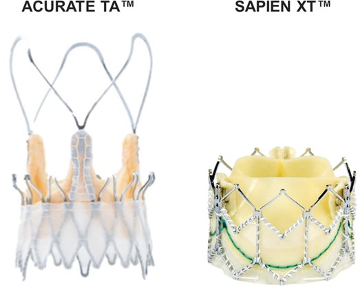 The ACURATE TA™ and the SAPIEN XT™ aortic valve prostheses.