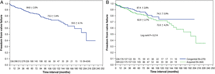 Kaplan–Meier curves showing freedom from MV failure: (A) overall (B) comparison between congenital and acquired aetiology groups. MV: mitral valve.
