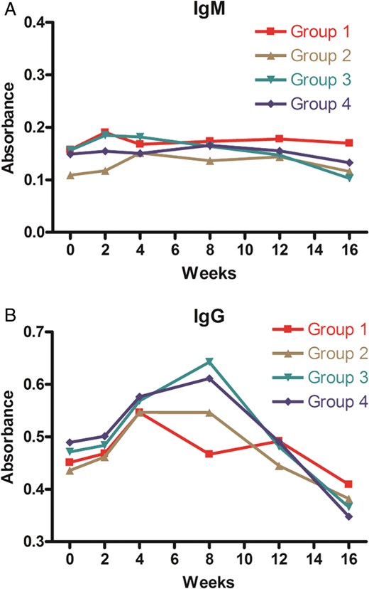 Titres of anti-α-Gal antibodies. Anti-α-Gal IgM and IgG antibody titres are depicted according to groups. Each data point represents mean values of optical density at preimplantation and 2, 4, 8, 12 and 16 weeks after implantation. Error bars were removed in order to aid clarity.