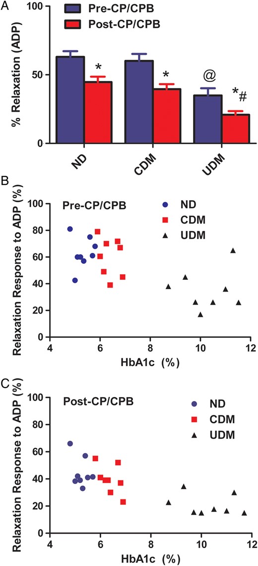 ( A ) Microvascular vasodilation in response to the endothelium-dependent vasodilator ADP (10 −5 M); * P < 0.05 versus pre-CP/CPB; #P < 0.05 versus post-CP/CPB-ND or post-CP/CPB-CDM; @P < 0.05 versus pre-CP/CPB-ND or pre-CP/CPB-CDM; n = 8/group, mean ± SEM; ( B ) correlation between microvascular relaxation response to ADP before CP/CPB and pre-CP/CPB HbA1c; ( C ) correlation between microvascular relaxation response to ADP post-CP/CPB and pre-CP/CPB HbA1c.