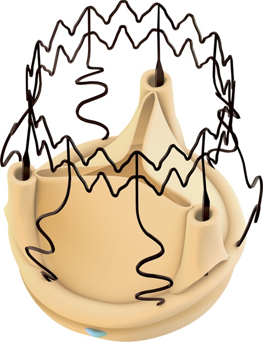 Perceval valve.