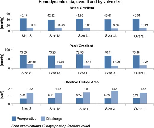 Haemodynamic data, overall and by valve size.