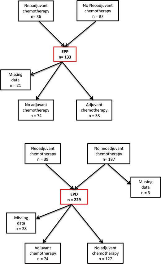 Chemotherapy treatment received. EPP: extrapleural pneumonectomy; EPD: extended pleurectomy/decortication.
