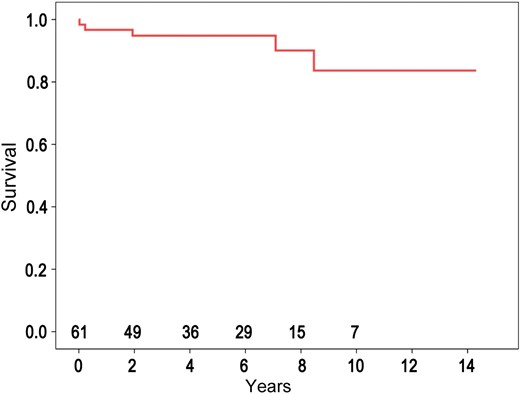 Actuarial survival. Numbers above the x -axis represent patients remaining at risk.