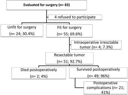 Flow chart of studied patients.