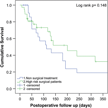 Kaplan–Meier survival analysis comparing those who underwent non-surgical treatment of their lung cancer and the high-risk surgical patients (i.e. those with VE/VCO2 slope of >35).