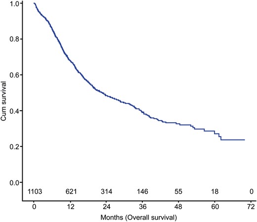 Overall survival in the entire study cohort (n = 1103).