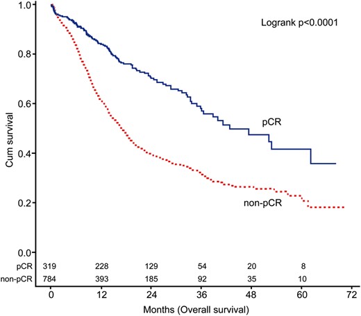 Overall survival of patients with and without pathological complete response. pCR: pathological complete response.