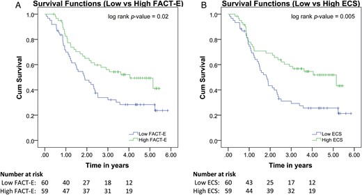 Pretreatment FACT-E and ECS are associated with overall survival. Kaplan–Meier curve showing results of Cox regression with pretreatment FACT-E and ECS stratified into low and high groups. Low pretreatment FACT-E and ECS are associated with worse overall survival.