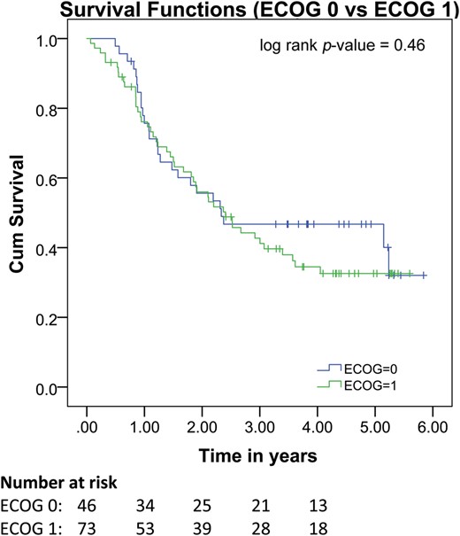 Pretreatment ECOG is not associated with overall survival. Kaplan–Meier curve showing results of Cox regression analysis stratified by pretreatment ECOG status. Pretreatment ECOG is not associated with overall survival.