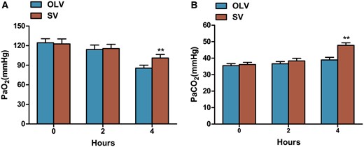 Mean arterial PaO2 and PaCO2 during surgery. Significantly higher PaO2 (A) and PaCO2 (B) were found at 4 h, but not at 0 or 2 h in rabbits from SV group compared with OLV group. Data were expressed as mean ± standard deviation. **P < 0.01 when compared with OLV group. OLV: one-lung ventilation; SV: spontaneous ventilation; PaO2: partial pressure of oxygen; PaCO2: partial pressure of carbon dioxide.