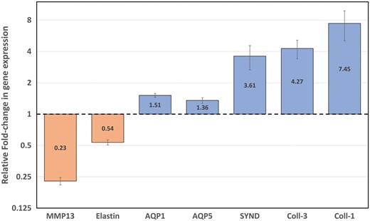 Expression (mRNA levels) of type I and III collagens, syndecan, AQP-1, AQP-5, elastin and MMP13 in healthy lung parenchyma specimens. mRNA levels were quantified by real-time quantitative PCR. Results are plotted on a log-2 scale and expressed as relative fold change in glyceraldehyde-3-phosphate dehydrogenase-normalized mRNA values. Values are the mean ± SD of 3 independent experiments, each performed in triplicate for each of the subjects. mRNA: messenger RNA; PCR: polymerase chain reaction; MMP13: metalloproteinase 13; AQP: aquaporin; Coll: collagen; SYND: syndecan.
