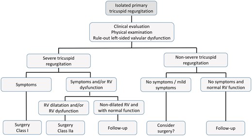 Management of primary tricuspid regurgitation. RV: right ventricular.
