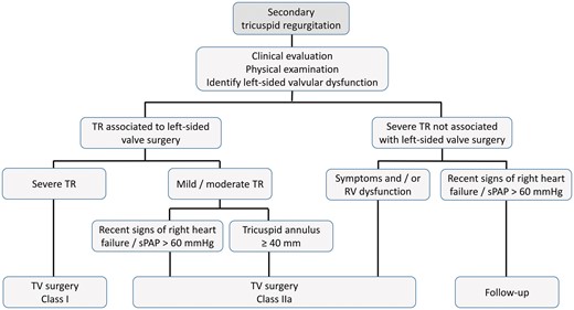 Management of secondary TR. sPAP: systolic pulmonary arterial pressure; TR: tricuspid regurgitation; TV: tricuspid valve.