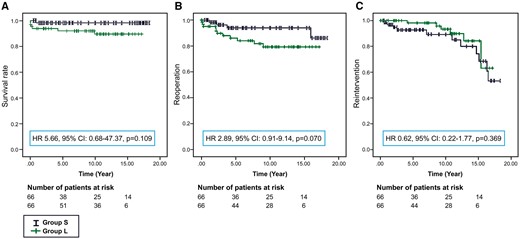 Estimated probability of freedom from mortality (A), reoperation (B) and catheter intervention (C). HR: hazard ratio; CI: confidence interval.