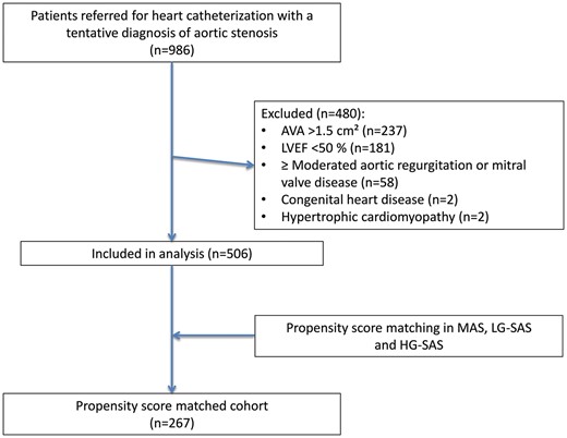 Identification of the study group. AVA: aortic valve area; HG-SAS: high-gradient severe aortic stenosis; LG-SAS: low-gradient severe aortic stenosis; LVEF: left ventricular ejection fraction; MAS: moderate aortic stenosis.