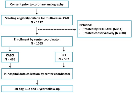 Flow chart summary from consent and eligibility, through a 3-year follow-up. CAD: coronary artery disease; PCI: percutaneous coronary intervention; CABG: coronary artery bypass grafting.