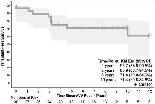 Time-related transplant-free survival following tricuspid valve repair in 30 children with hypoplastic left heart syndrome. Point zero is the time of tricuspid valve repair. AVV: atrioventricular (TV) valve; CI: confidence interval; KM: Kaplan-Meier.