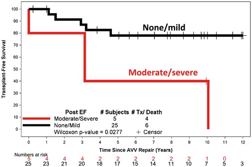 Transplant-free survival stratified post-repair right ventricular function. Point zero is the time of tricuspid valve repair. AVV: atrioventricular (TV) valve; EF: ejection fraction; TX: transplantation..