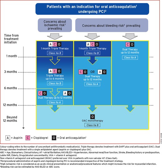 Algorithm for dual antiplatelet therapy in patients with an indication for oral anticoagulation undergoing percutaneous coronary intervention.