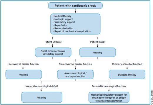 Algorithm for the management of patients with cardiogenic shock.