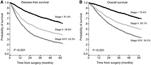 Disease-free survival (A) and overall survival (B) according to tumour, node and metastasis staging system in the entire population.