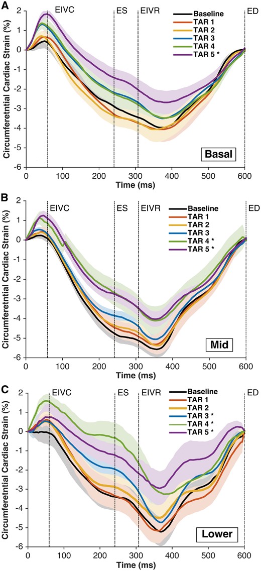 Right ventricular regional free wall average epicardial ‘circumferential’ cardiac strain at Baseline and TAR 1–5. (A) Basal region, (B) mid-region and (C) lower region. The strain was calculated with the reference configuration at ED and is presented as ± standard error of the mean during the averaged cardiac cycle (n = 8). Regions as depicted in Fig. 1. *P < 0.05 from repeated measures analysis of variance with the Dunnett’s post hoc test versus Baseline at ES. ED: end-diastole; EIVC: end of isovolumic contraction; EIVR: end of isovolumic relaxation; ES: end-systole; TAR: tricuspid annular reduction.