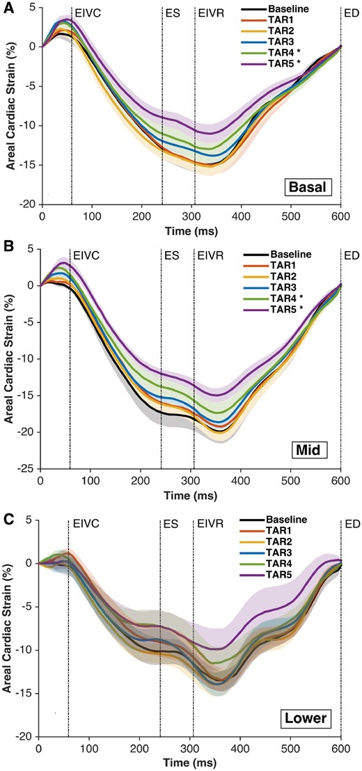 Right ventricular regional free wall average epicardial ‘areal’ cardiac strain at Baseline and TAR 1–5. (A) Basal region, (B) mid-region and (C) lower region. Strain was calculated with the reference configuration at ED and is presented as ± standard error of the mean during the averaged cardiac cycle (n = 8). Regions as depicted in Fig. 1. *P < 0.05 from repeated measures analysis of variance with the Dunnett’s post hoc test versus Baseline at ES. ED: end-diastole; EIVC: end of isovolumic contraction; EIVR: end of isovolumic relaxation; ES: end-systole; TAR: tricuspid annular reduction.