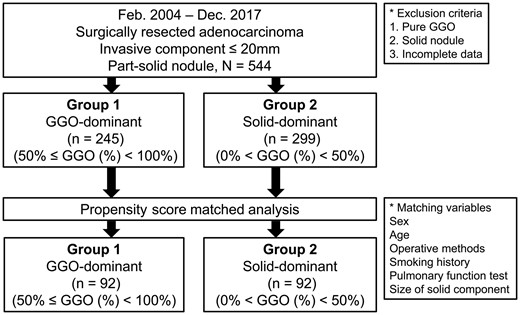 Diagram of the study population. GGO: ground-glass opacity.
