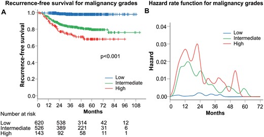 (A) Recurrence-free survival curves according to malignancy grades. (B) Smoothed hazard estimates for each malignancy grade.