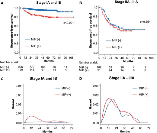 (A) Recurrence-free survival curves of patients with stage I according to the presence of MIP component. (B) Recurrence-free survival curves of patients with stages IIA–IIIA according to the presence of an MIP component. (C) Smoothed hazard estimates of patients with stage I according to the presence of an MIP component. (D) Smoothed hazard estimates of patients with stages IIA–IIIA according to the presence of an MIP component. MIP: micropapillary.