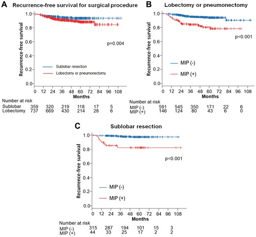 (A) Recurrence-free survival curves of patients with stage I according to the surgical procedure. (B) Recurrence-free survival curves of patients who underwent lobectomy or pneumonectomy according to the presence of MIP component. (C) Recurrence-free survival curves of patients who underwent sublobar resection according to the presence of MIP component. MIP: micropapillary.