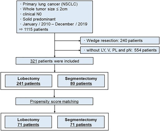 Flow chart of patient selection. Patients who underwent curative-intent lobectomy or segmentectomy for non-small-cell lung cancer with invasive characteristics, such as lymphatic invasion, vascular invasion or pleural invasion; and presented with node-negative, solid component-predominant tumour (consolidation tumour ratio >50%) on preoperative computed tomography, with a whole-tumour size of 2 cm or less, were included in this study.
