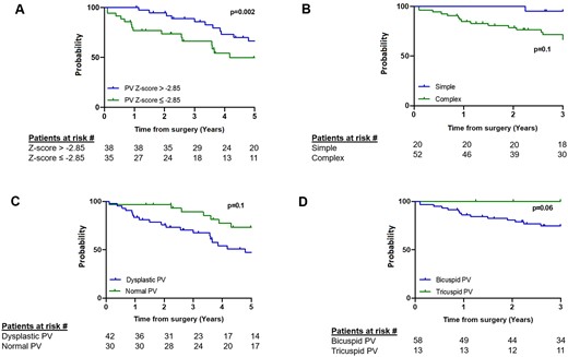 Kaplan–Meier curves showing freedom from moderate/severe pulmonary valve regurgitation for pulmonary valve z-score < -2.85 vs ≥ -2.85 (A), simple versus complex preservation strategies (B), dysplastic versus normal pulmonary valve (C) and bicuspid versus tricuspid pulmonary valve (D). The numbers at risk in each group are shown at the bottom of the panel. PV: pulmonary valve. Curves are truncated at the time point when < 10 patients were at risk.