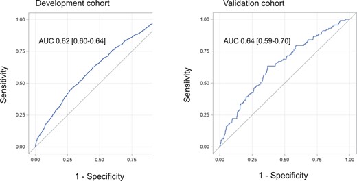 A receiver operating characteristic curve showing the discriminant power of the Epithor conversion score in the development and validation cohorts.