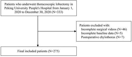 Illustrated flow charts of patient enrollment.