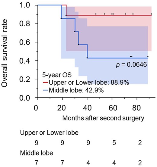 Overall survival rates for patients with non-small-cell lung cancer who underwent a second ipsilateral lobectomy based on the residual lobe. NSCLC: non-small-cell lung cancer.