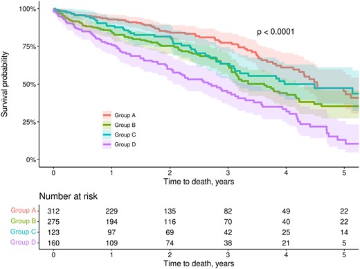 Kaplan–Meier survival curves at 5 years stratified by predicted FEV1 and NT-Pro-BNP. Shaded areas represent 95% confidence intervals. Abbreviations and groups as in Fig. 1. FEV1: forced expiratory volume in 1 s; NT-Pro-BNP: N N-terminal pro-B-type natriuretic peptide.