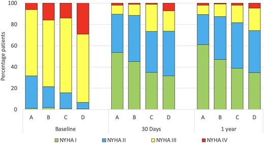 NYHA functional class at baseline, 30 days and 1 year stratified by predicted FEV1 and NT-Pro-BNP. Abbreviations and groups as in Fig. 1. FEV1: forced expiratory volume in 1 s; NT-Pro-BNP: N-terminal pro-B-type natriuretic peptide.