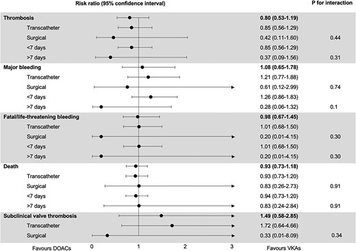 Subgroup analysis. DOAC: direct oral anticoagulant; RR: relative risk; VKA: vitamin K antagonist.