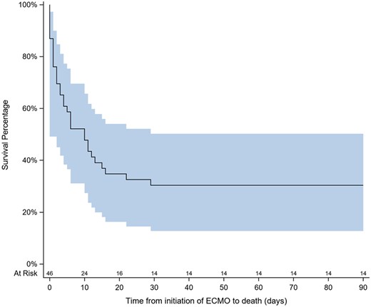 Kaplan–Meier survival curve in the entire patient population. The shaded area represents the confidence interval.