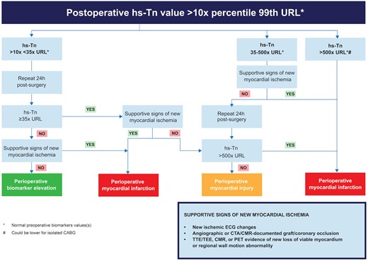 Proposed algorithm for detecting myocardial injury and myocardial infarction by using troponin levels as a key metric determinant. This algorithm requires additional testing and verification before further application in clinical and research settings. From the VISION study, 90% of patients showed a troponin I elevation ≥35 times the upper reference limit after cardiac surgery; hence the threshold on the left of the image. The same study associated levels of troponin 500 times the upper reference limit with an increased risk of death (not specifically related to myocardial infarction) after cardiac surgery; hence the use of this threshold in the algorithm.