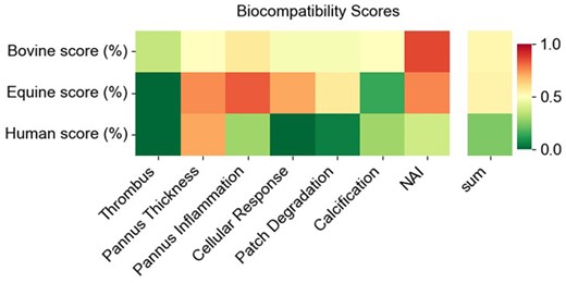 Biocompatibility scores. Heat maps showing the summarized aspect scores for bovine, equine and autologous patch materials. The lower the score indicates better biocompatibility. NAI: neoadventitial inflammation.