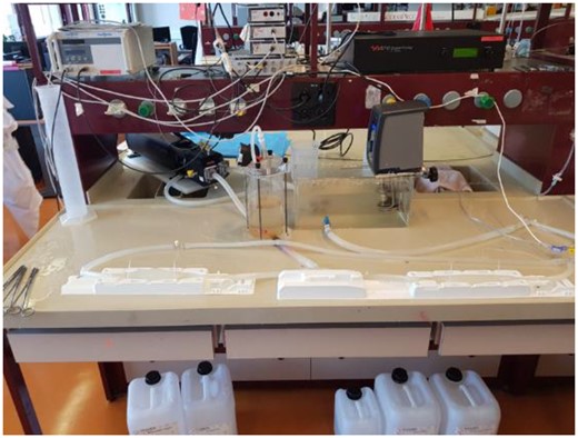 Silicone models of vessels and pump used to circulate blood substitute within them.