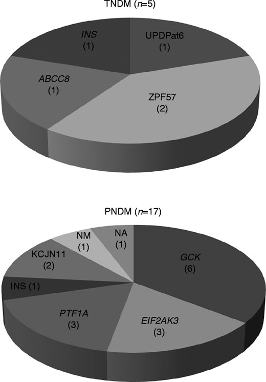 Distribution of mutations detected in patients with TNDM and PNDM (NA, not available; NM, no mutation).