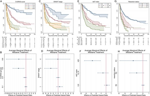 Kaplan–Meier (KM) curves depicting recurrence-free survival in patients untreated or treated with adjuvant mitotane; scatter plots showing the change in hazard ratio (marginal effects) as a result of treatment. According to (A and B) S-GRAS score groups, (C and D) ENSAT stage, (E and F) Ki67, and (G and H) resection status. ‘–’ and ‘+’ signs in the legends of the KM plots indicate no treatment and with treatment, respectively.