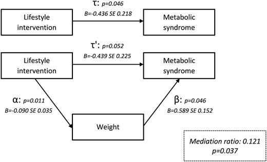 Mediation analysis demonstrating the effect of weight on the metabolic syndrome.
