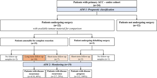 Flowchart of the patient cohort with primary ACC.