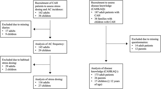 Flowchart of recruited patients and subpopulations of different analyses.