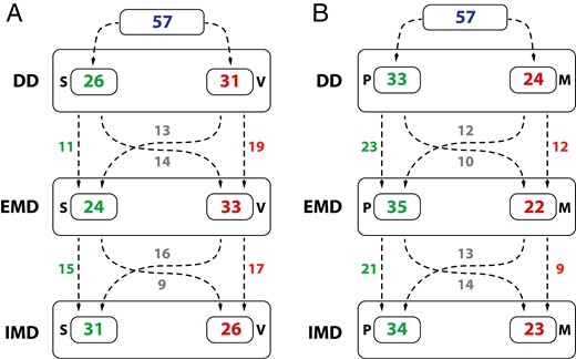 The number of subjects with a specific swallowing pattern (a) and tongue posture (b) and the number of subjects with a change/ no change of the swallowing pattern (a) and tongue posture (b) during the transition from DD, EMD and IMD timepoints; S—somatic swallowing pattern, V—visceral swallowing pattern, P—tongue postured on the palate, M—tongue postured on the mouth floor.